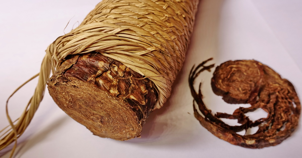 Mapacho (mapačo) ekvádorský šamanský tabák